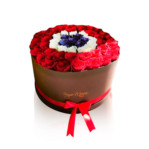 Box tricolor
