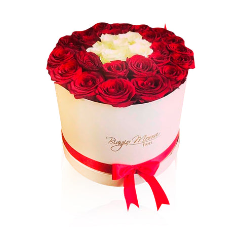 Box bicolor