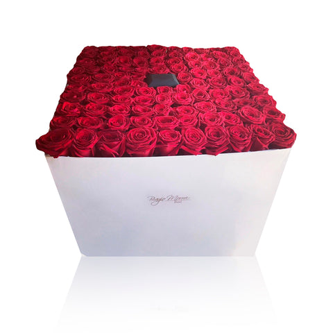Big box 100 rose rosse